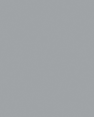 Gull Grey
