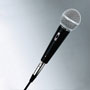 Optional Mic