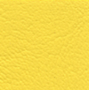 Dull Action Yellow