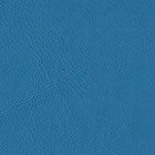 Zander Mediterranee