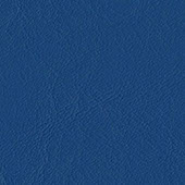 Zander True Blue